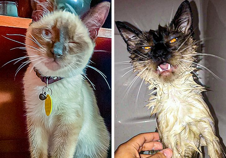 e6cac559a6b1c843102b7673fe