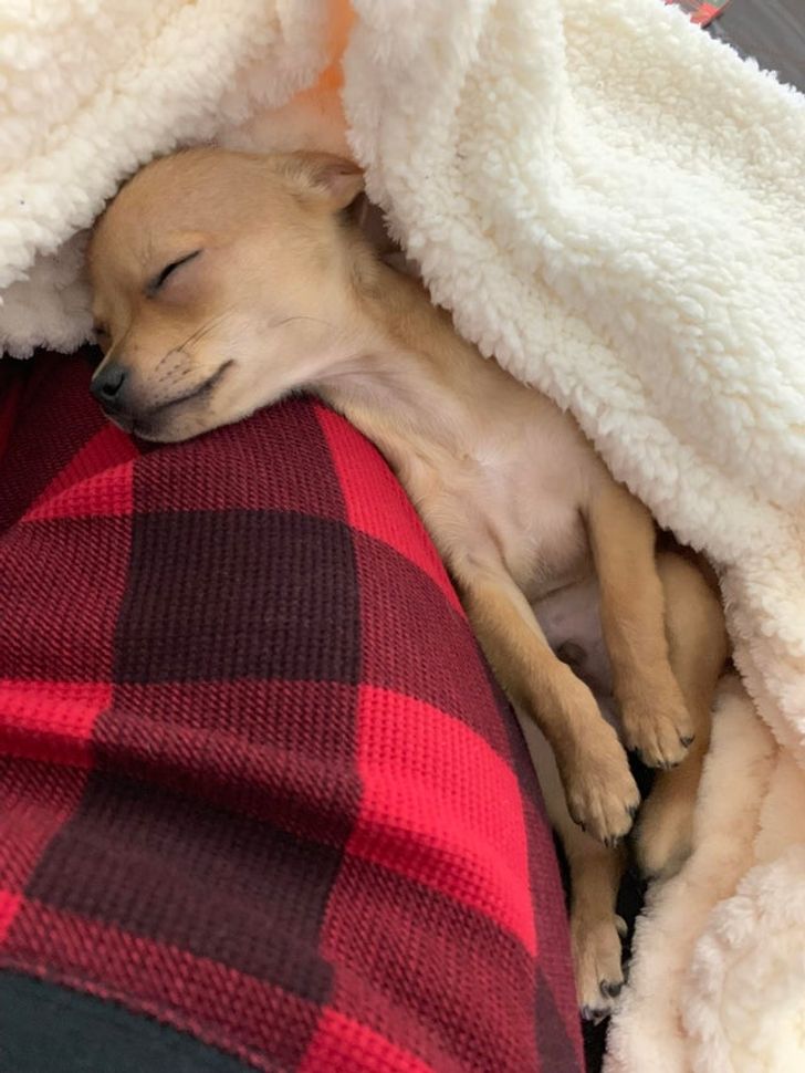 e6cc885c78ab370f23e1678091