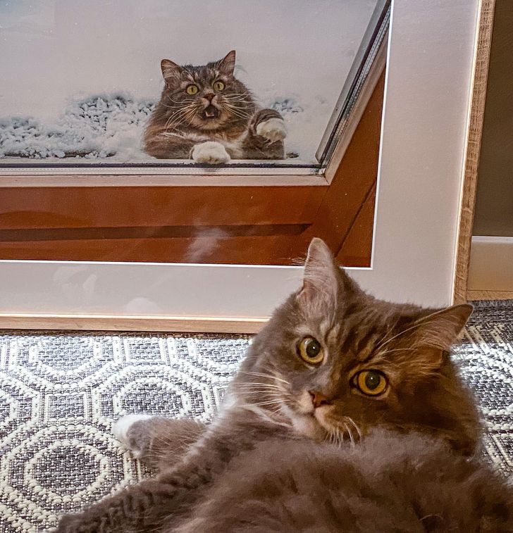 e6f37d5da58a977b2ec6389282