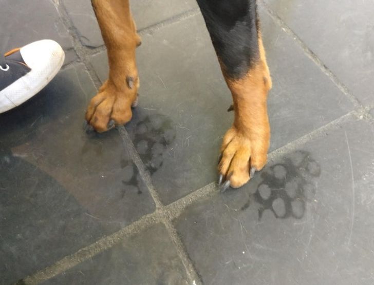 e6f6225d54acd417097d38744f