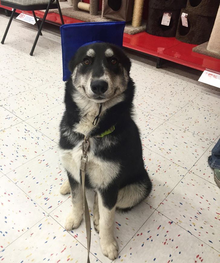 e6fc285b9cb44865b4a211952a