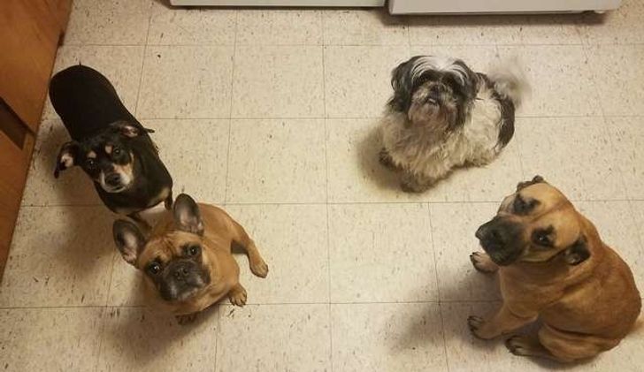 e702e85a5ea6095965ed2ba3d8