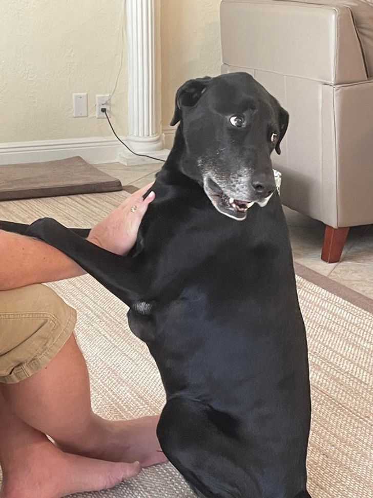 e704215675acaacc0c0a447cc5