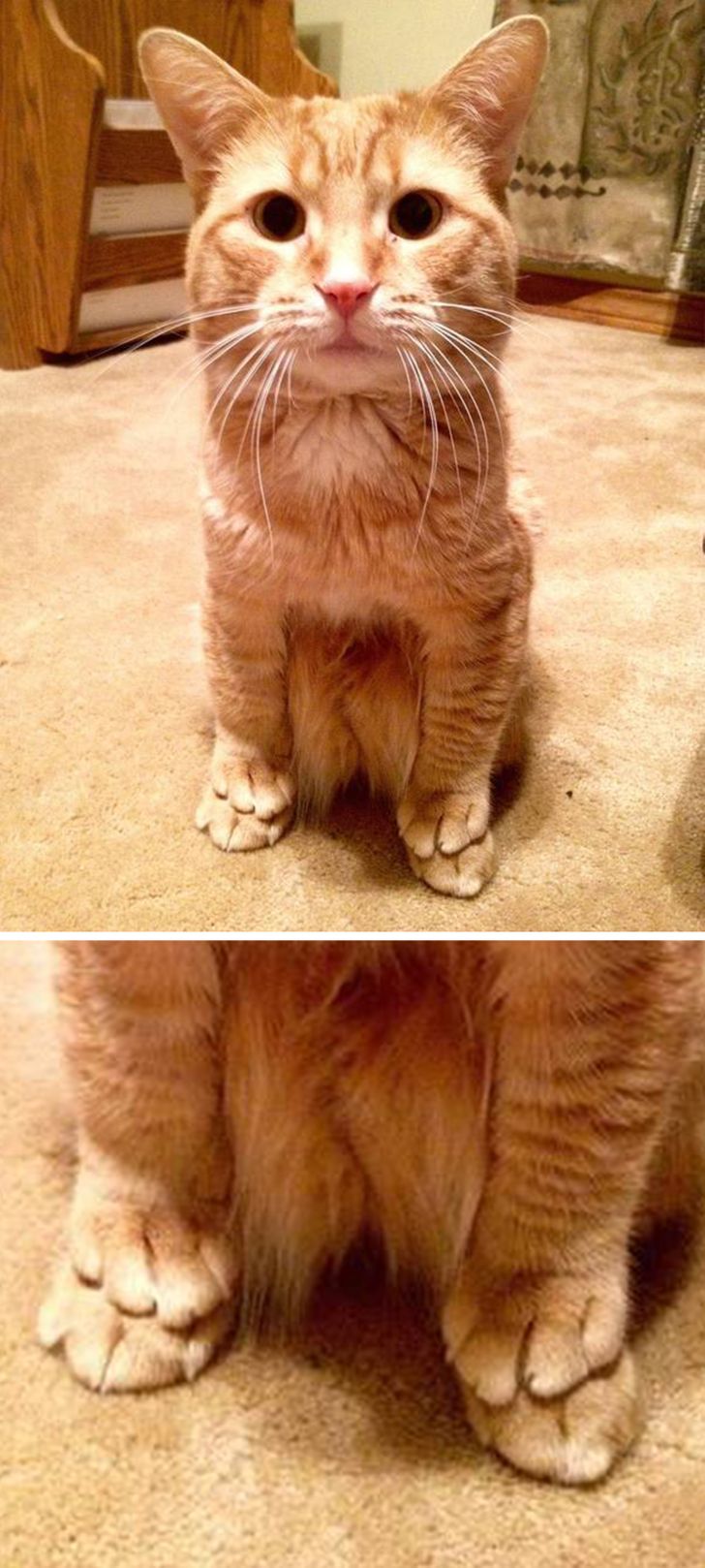 e7060a5e09a0cac81f5b269ce8