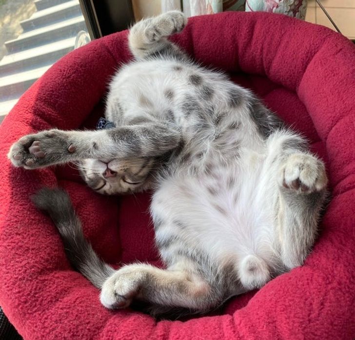 e70b7c538399a823e1817983fd