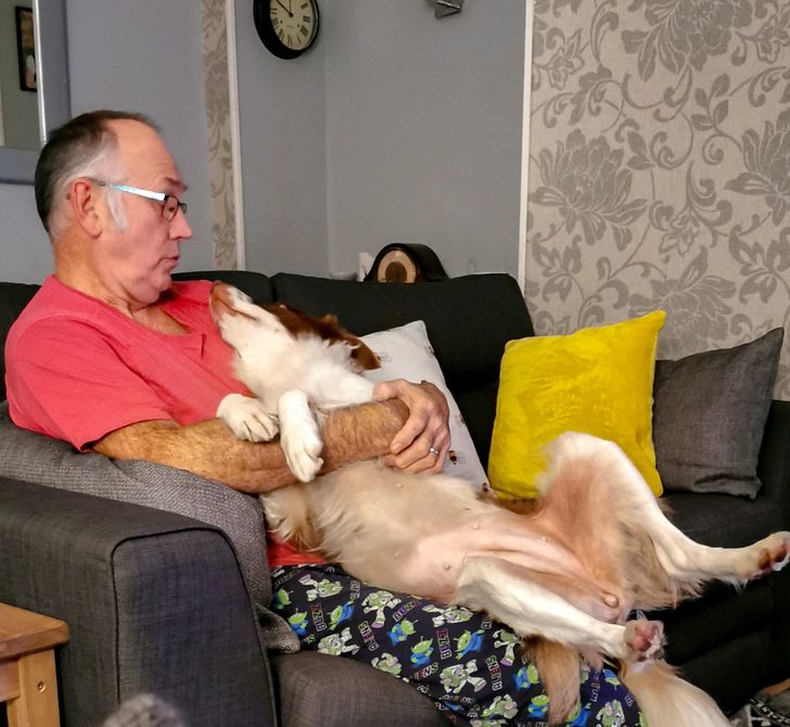 e70d525e8185ddffb2e4da62f9