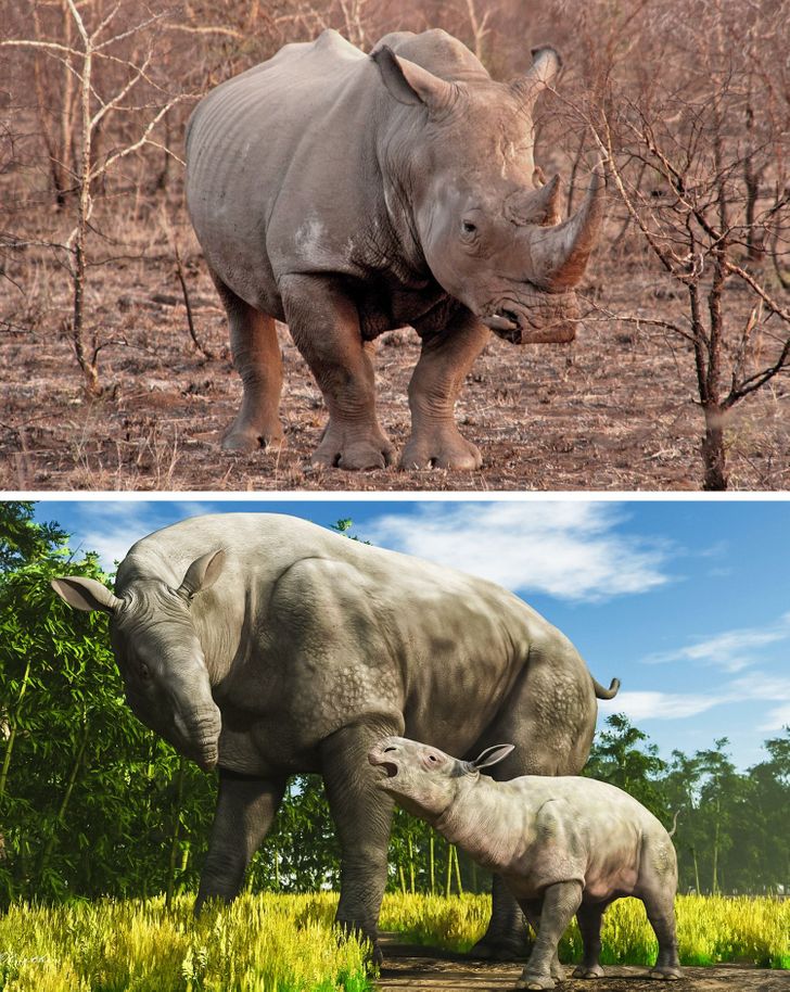 e714525ebeb0227523dd3b03d6