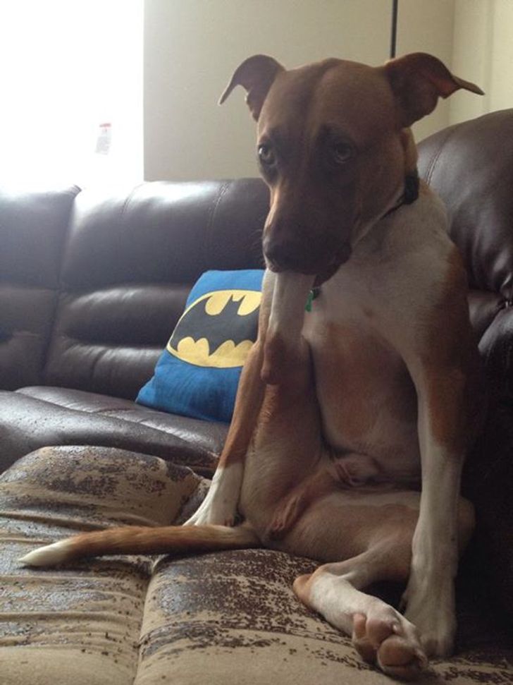 e714fb501fba1bd61382e215d9