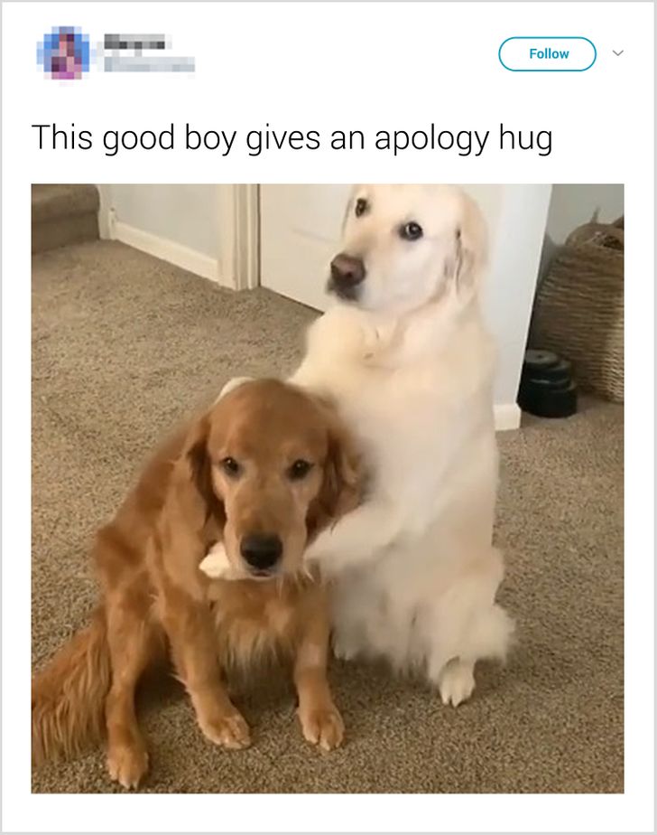 e71f6d5092a7665c4db65a2acb