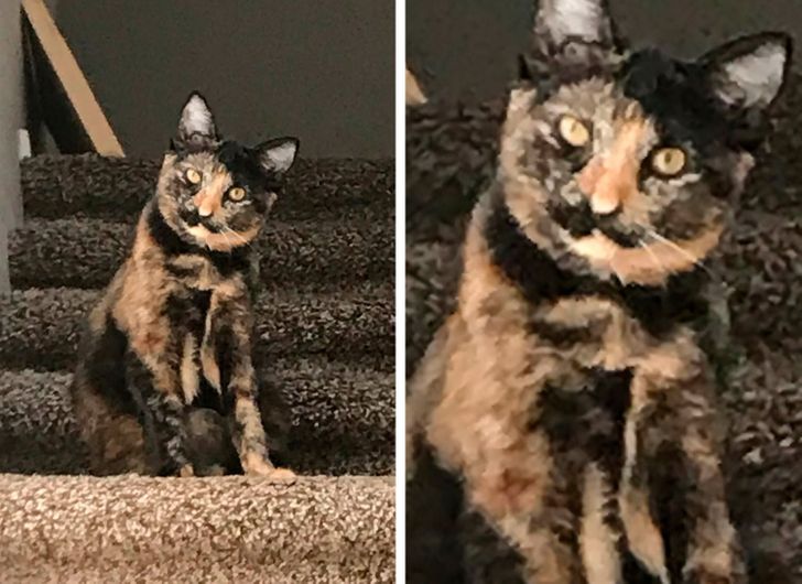 e72169553ebf72f9e2d50b9819