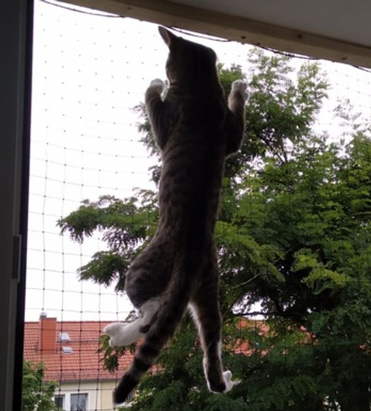 e725dc5778a2ba8d648286075a