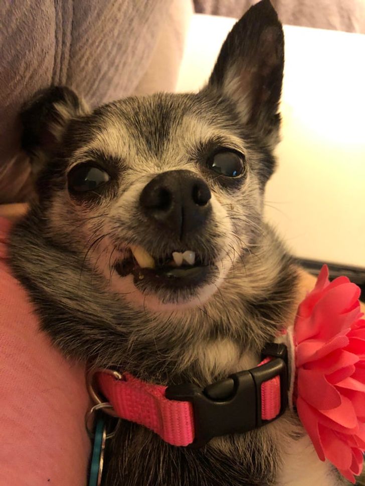 e727d453e9a03cb7386de55e7a