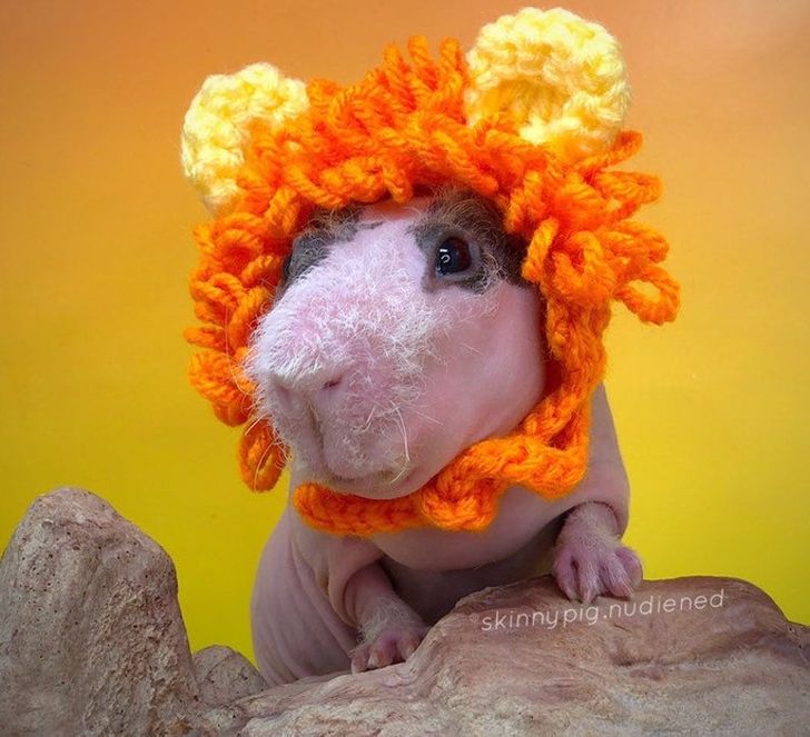 e735285f0fa65608a0e175e229