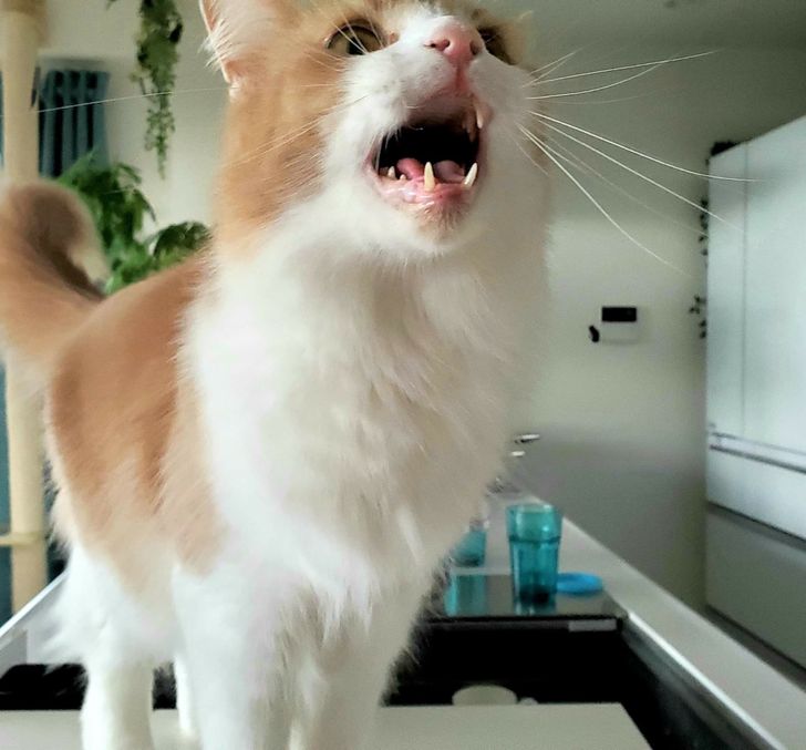 e735be57658c3d3f0d8fd09561