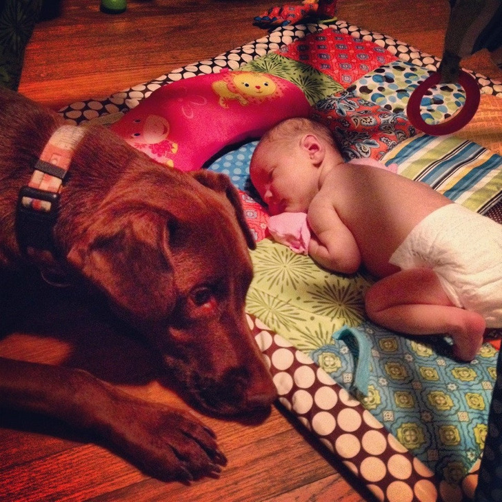 e737f75683a804488595ea4d98