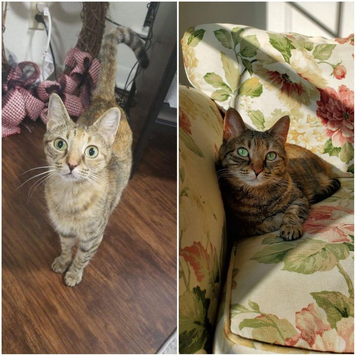 e7380f5e2a89b5b2ccff75e27f