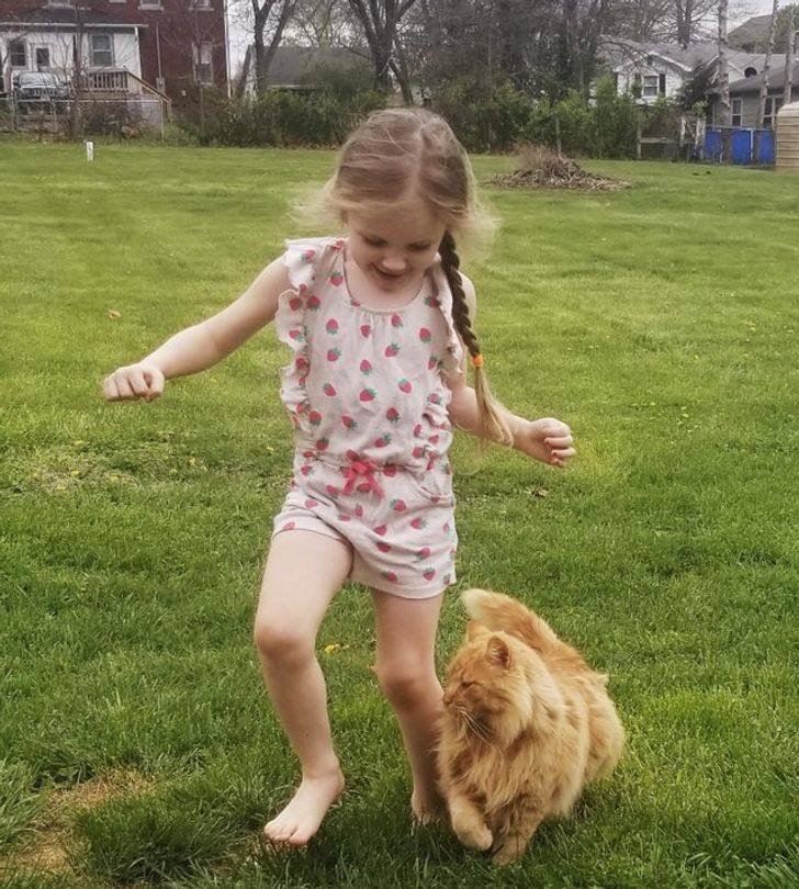 e73ab152daa37c07d57793d980