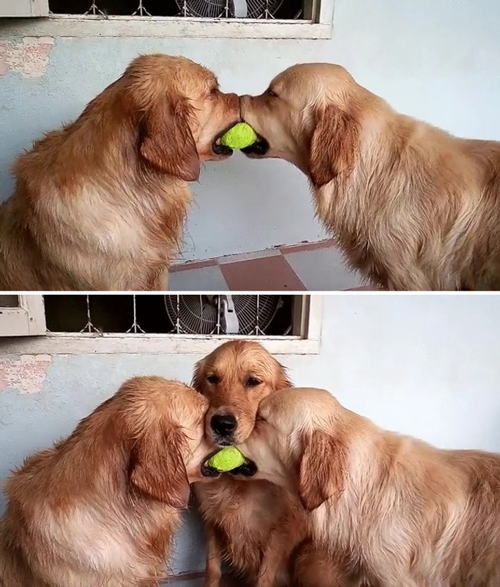 e74bf054f1b54398cd453e3fc8 e74bf054f1b54398cd453e3fc8