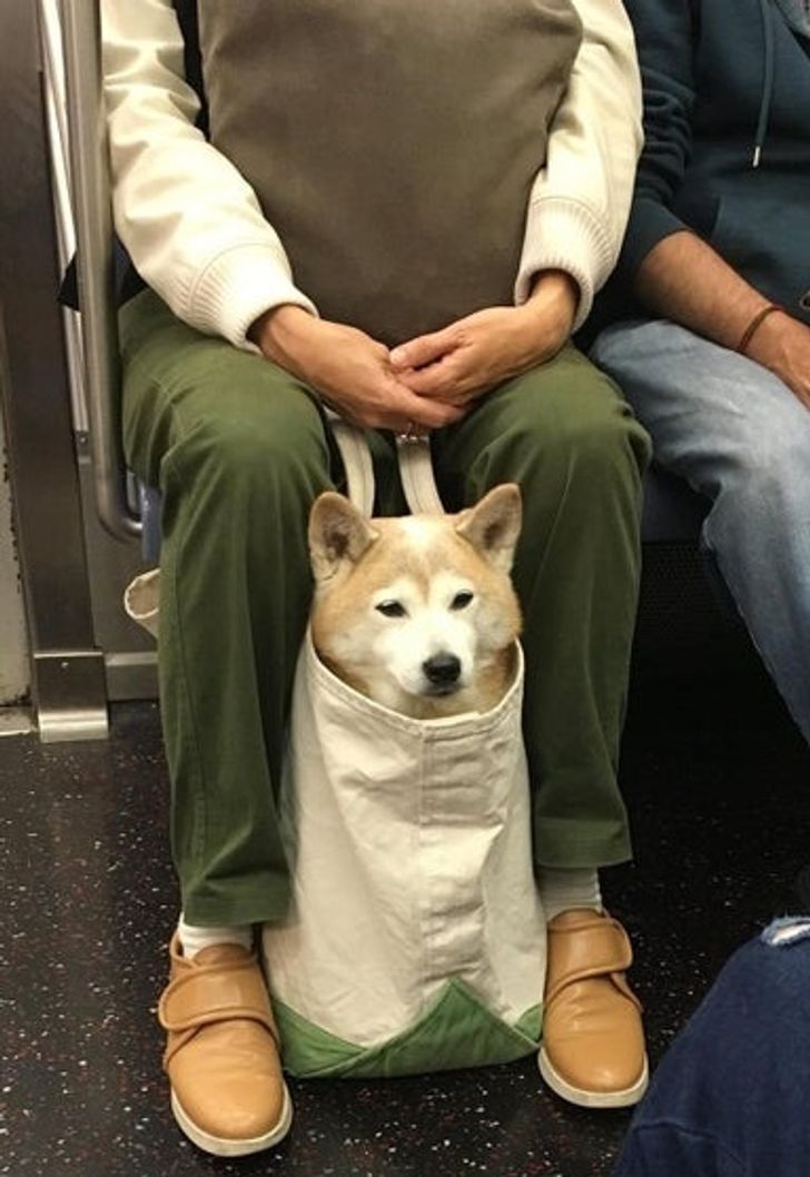 e752e85931a7d3d3c817477717