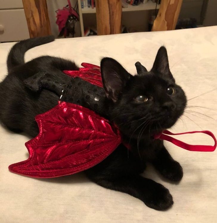 e7544b5dee9364bf01218360b6