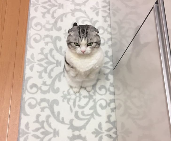 e7551b56dbbce477b603e93237