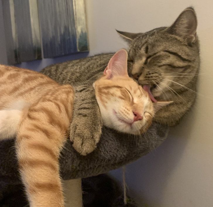 e75ead57fe9089b5dee98dfd6c