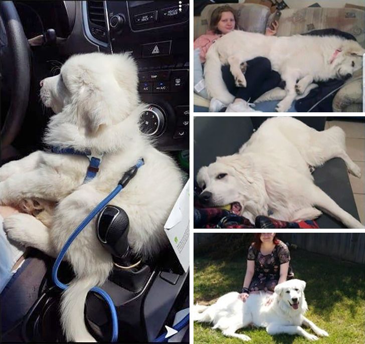 e763ef5e48b3bd29b19649079a