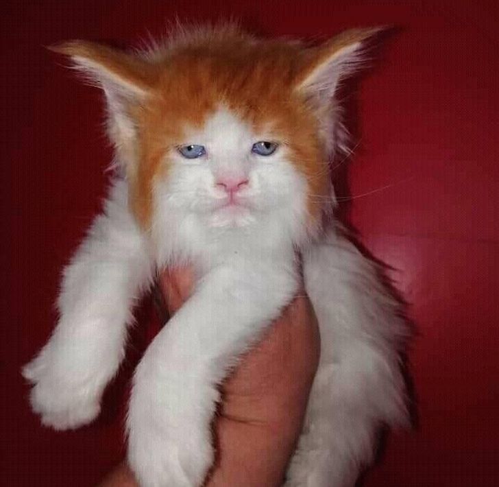 e76aae57fbbfe5a64005394f8e