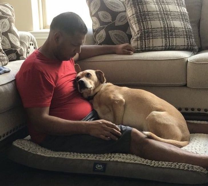 e76ba95caaa18aa158444b73d0