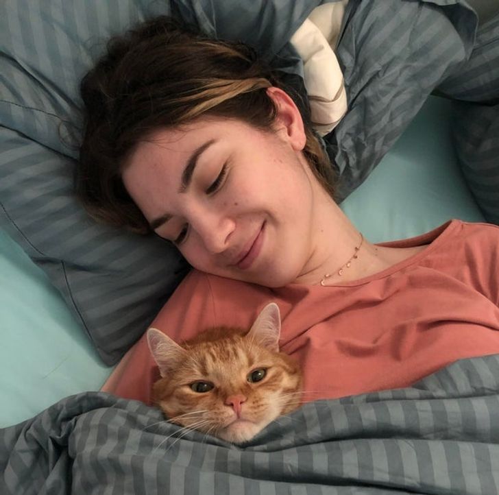 e76fab50e49756f91736375be0