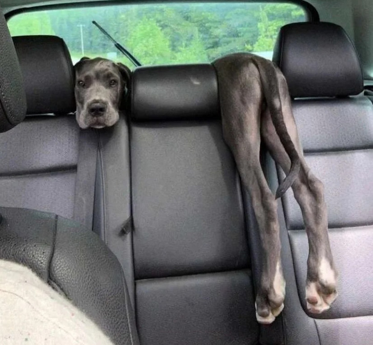 e779ed5996a21249a59670909b