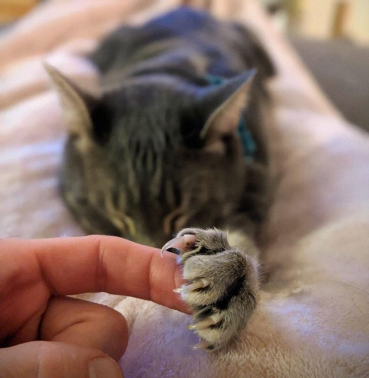 e77a07538280980c91bf74d1f7