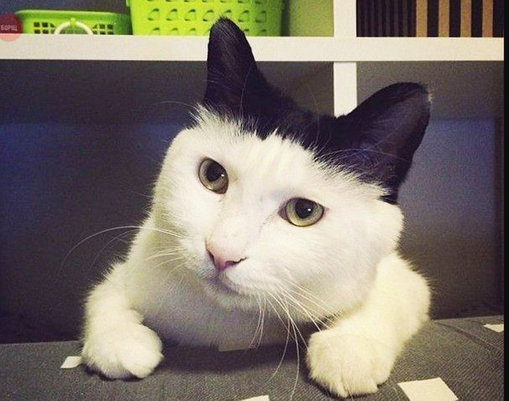 e77a895957a9f5b014bacaa73b