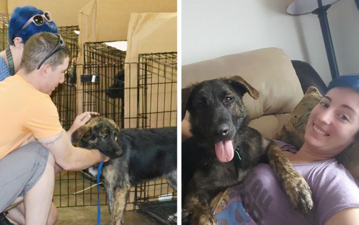 e77eec5ee88e4a3eb53fa7fc74