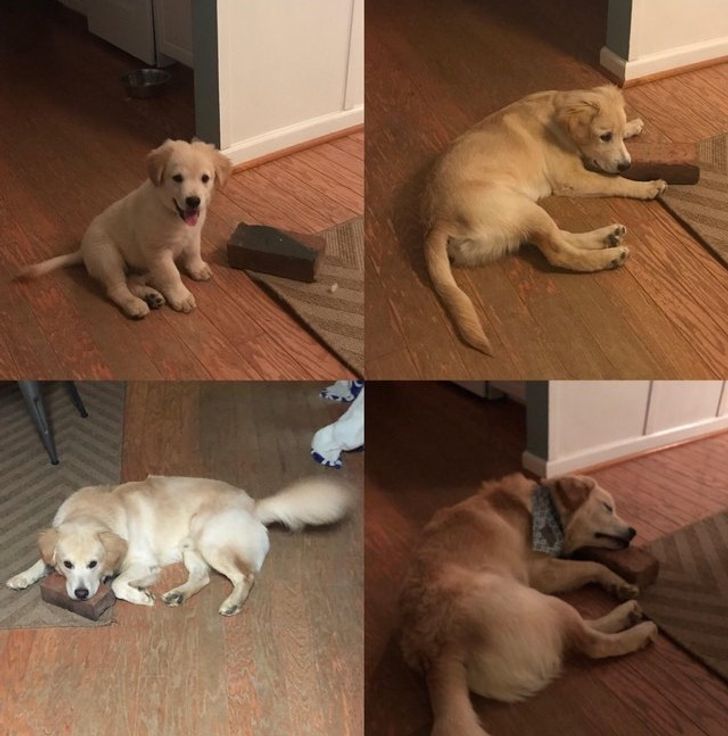 e7885153f6af4dc3701362ef3a