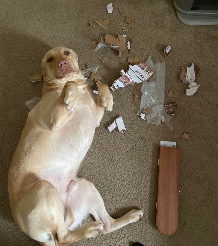 e790b75d94aba006d9b7279475