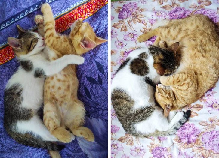 e7961d568a89a141fa46a85054