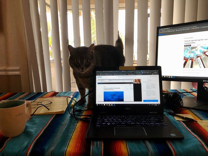 e7986851b8bb60f4a6940a3506