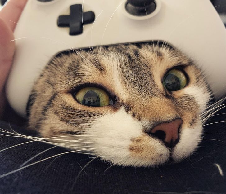 e7994a5d0a93b2cdf2e606df0f