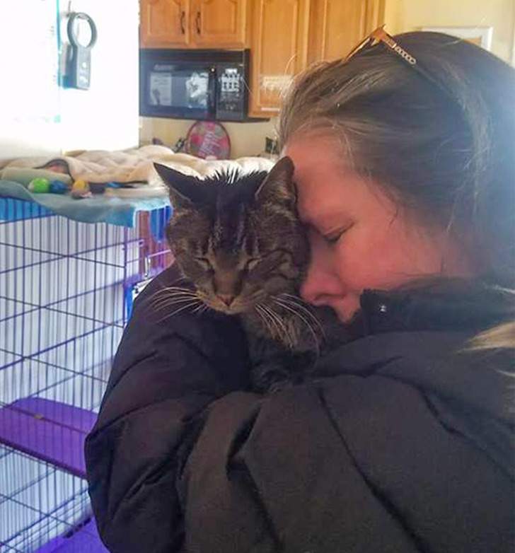 e799c95ecb9ec44a222414ebf8