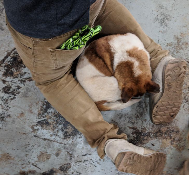 e79e035d5bb20d2dfbe91e057b