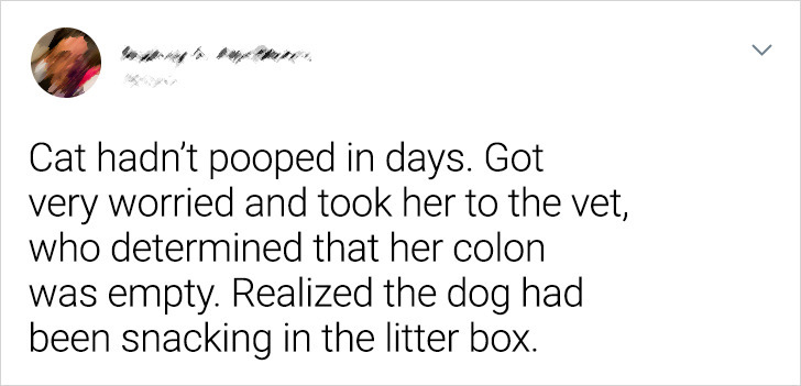 e79f26597596a934ffe86dcf70