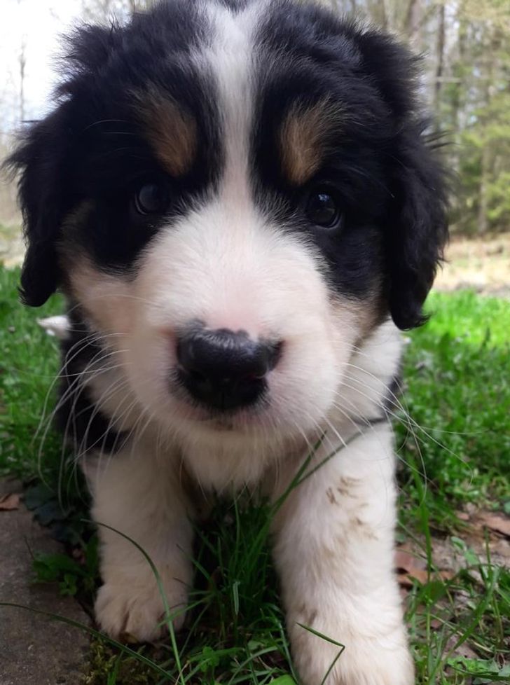 e7a27654968abb1381a0daecca