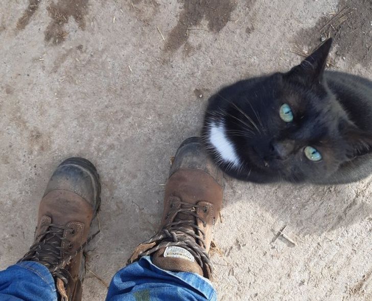 e7a45c5a8fb4ad0ac966aa8607