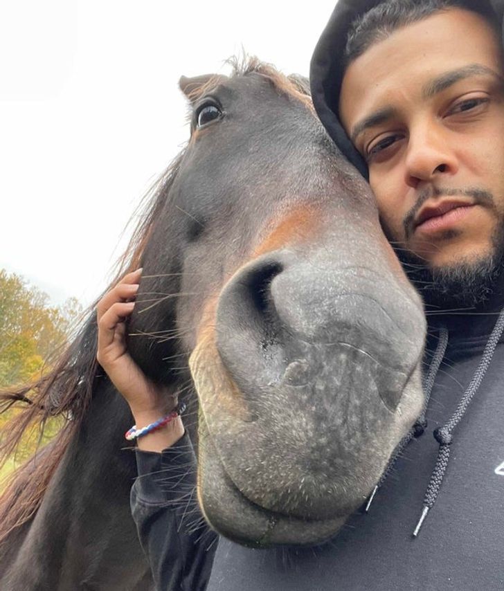 e7b2245a94b241403c70fff4cf