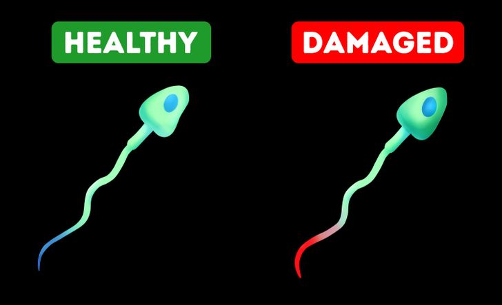 e7b7185669b65ed251c8cfe5b9