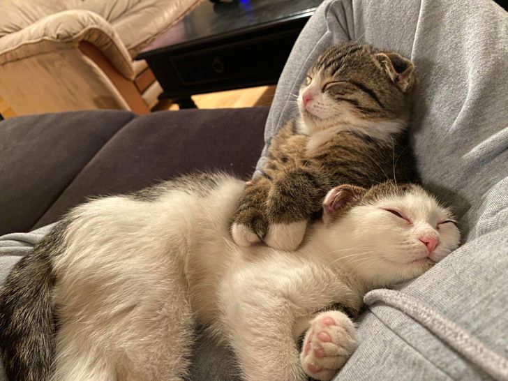 e7b8e05f59a3399006bde0986b e7b8e05f59a3399006bde0986b