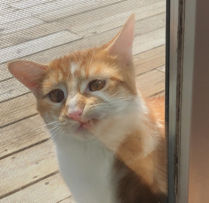 e7ba1b54088e1145b23b4552d8 e7ba1b54088e1145b23b4552d8