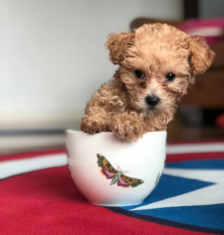 e7c29f51baa6f79c1bf81207f5