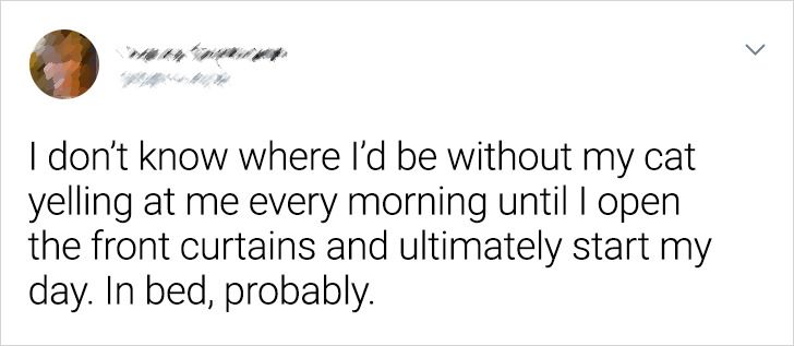 e7c9d55e0990cb4e32baad0fa2